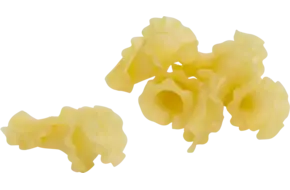 Pasta girolle 1kg
